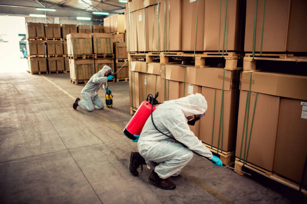 Best Pest Removal Services  in Lebanon, OR