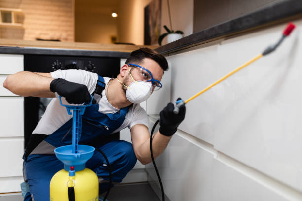 Best Bed Bug Extermination  in Lebanon, OR
