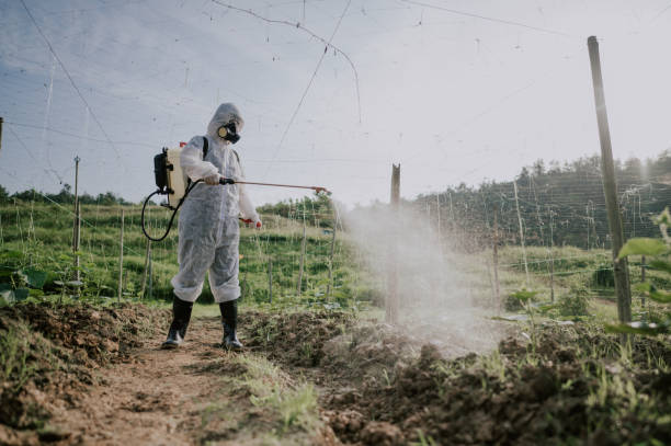 Best Commercial Pest Control Services  in Lebanon, OR