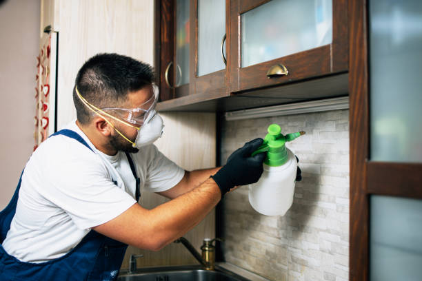 Best Pest Removal Services  in Lebanon, OR