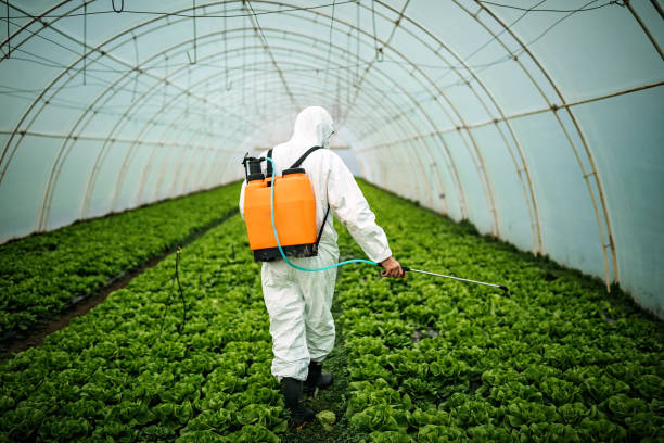 Best Pest Control Cost  in Lebanon, OR