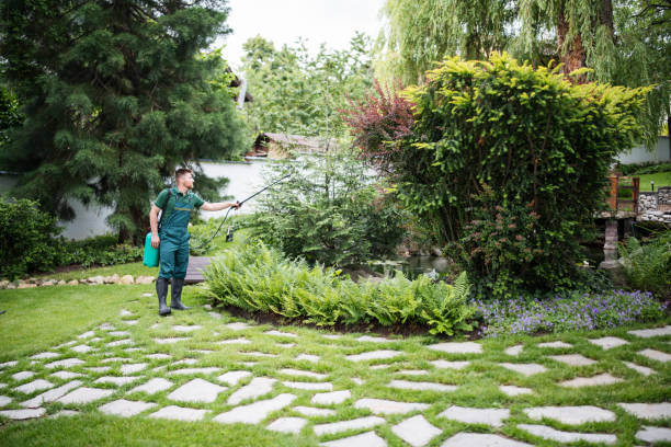 Wasp Removal Services in Lebanon, OR