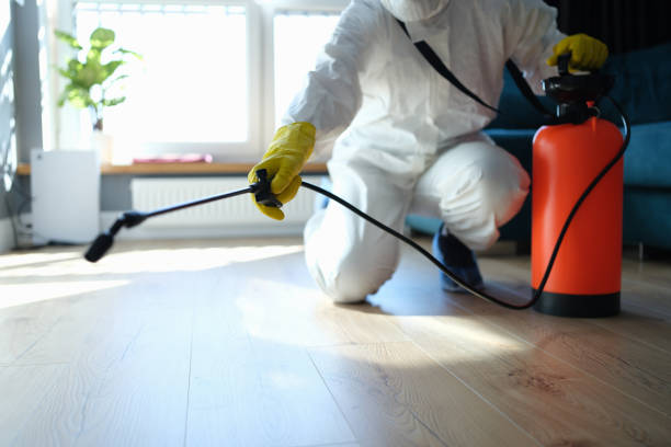 Reliable Lebanon, OR Pest Control Solutions