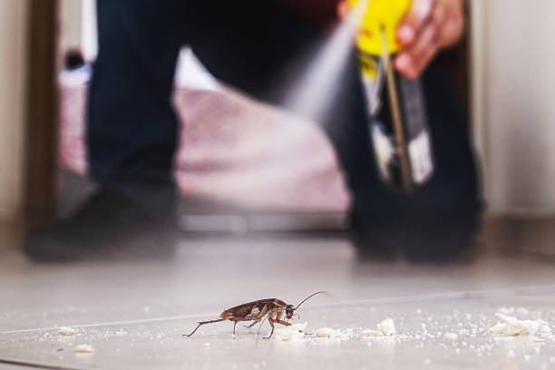 Best Affordable Pest Control Services  in Lebanon, OR
