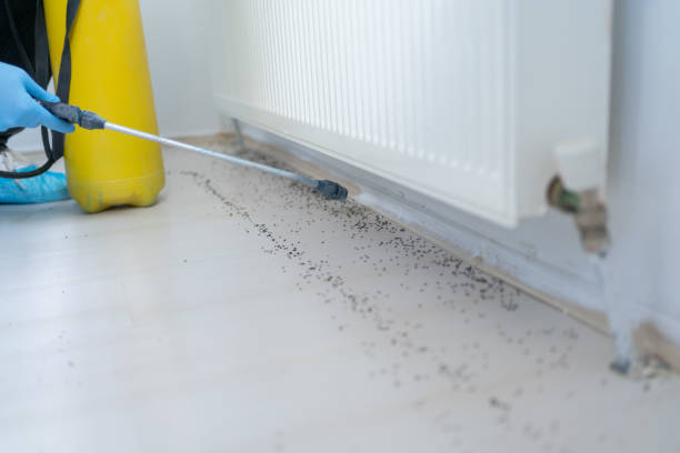 Best Exterminator Services  in Lebanon, OR