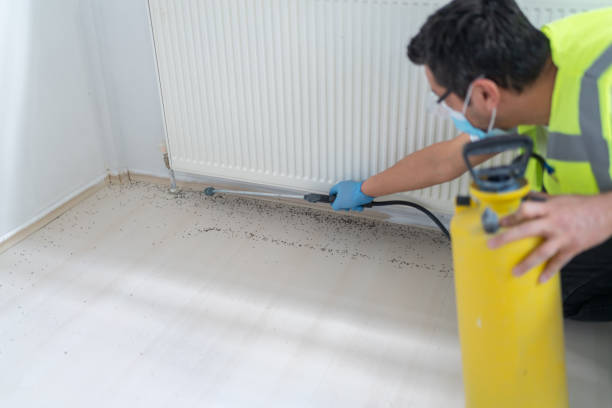 Best Rat Extermination Near Me  in Lebanon, OR
