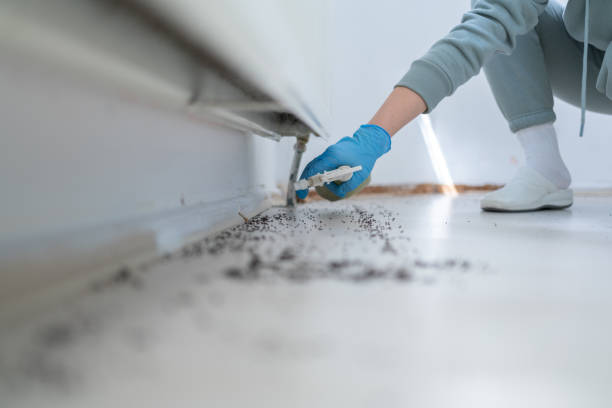 Pest Control Cost in Lebanon, OR